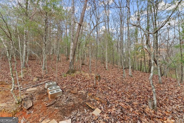 11161 Highway 19 N, Dahlonega, GA 30533