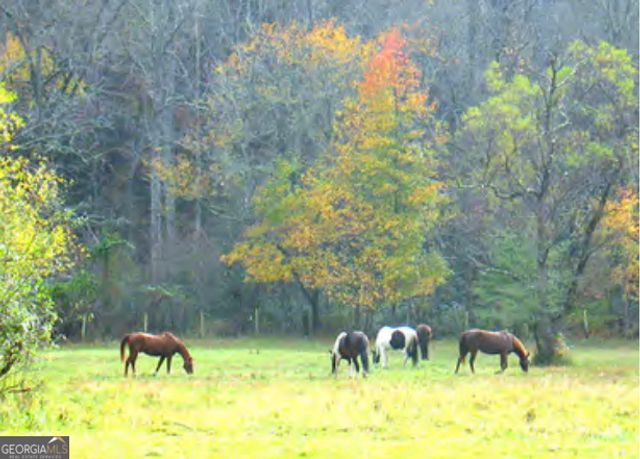 166 Quail Point, Sautee Nacoochee, GA 30571