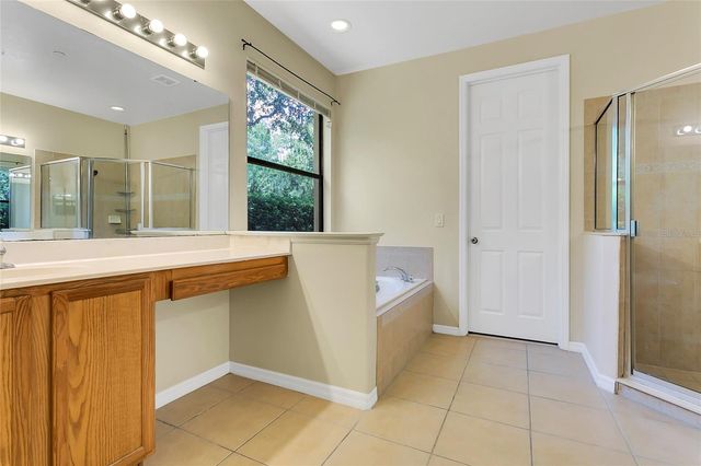 10102 CAROLINE PARK DRIVE, Orlando, FL 32832