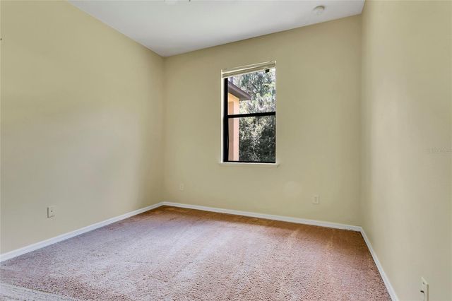 10102 CAROLINE PARK DRIVE, Orlando, FL 32832