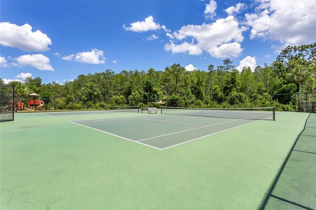 10102 CAROLINE PARK DRIVE, Orlando, FL 32832