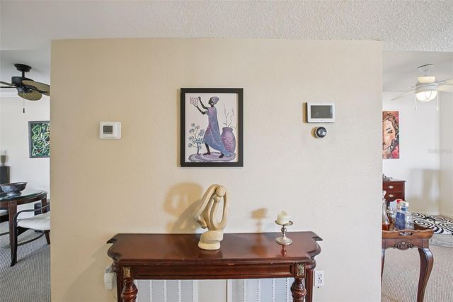 455 ALT 19 S 42, Palm Harbor, FL 34683