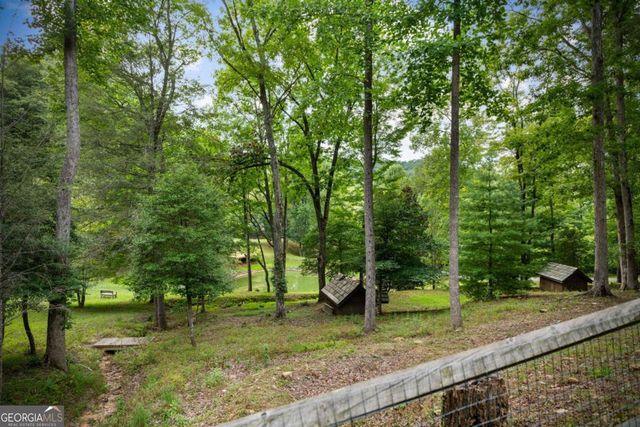 12 Heights Overlook, Cherry Log, GA 30522