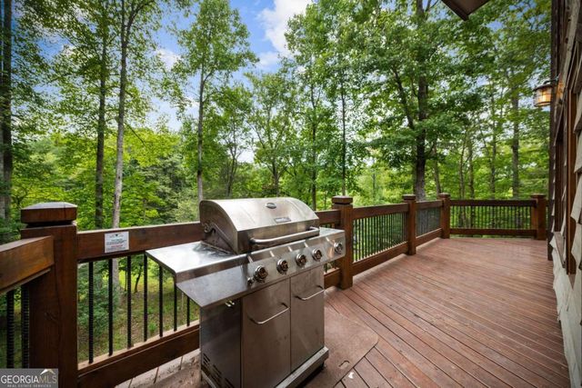 12 Heights Overlook, Cherry Log, GA 30522