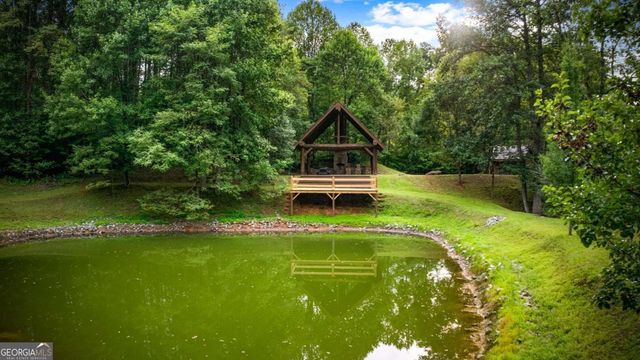 12 Heights Overlook, Cherry Log, GA 30522