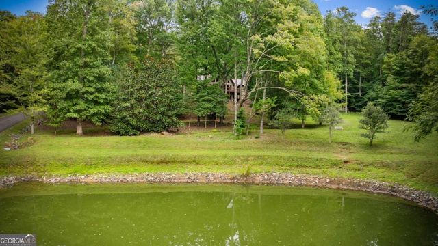 12 Heights Overlook, Cherry Log, GA 30522