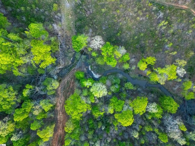 0 Bramlett Road, Laurens, SC 29360