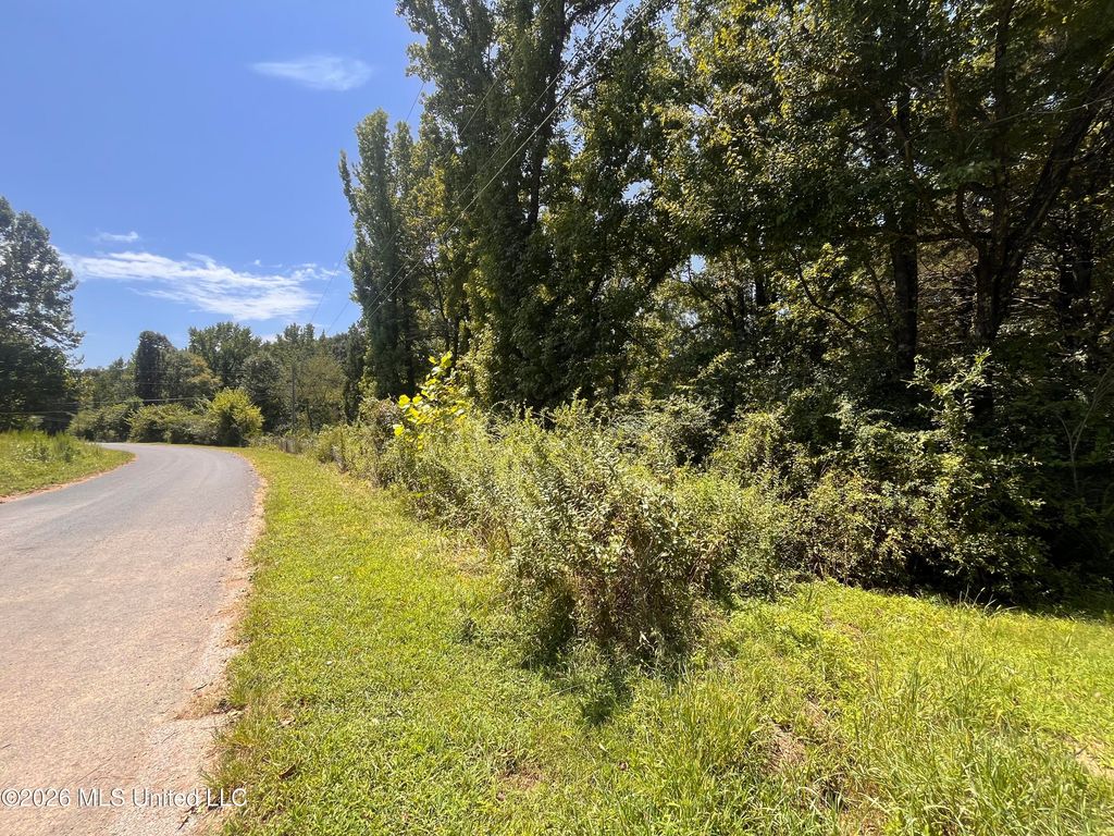 77 Lenzi Road, Byhalia, MS 38611 — photo 2