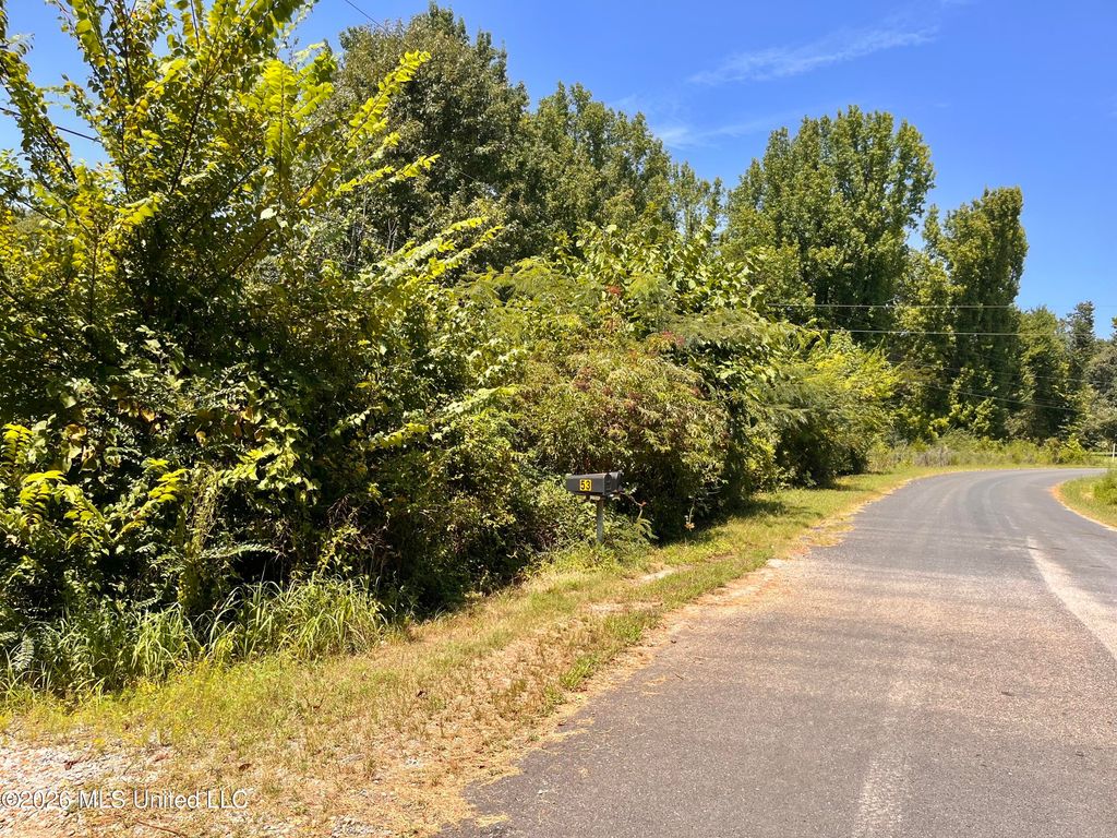 77 Lenzi Road, Byhalia, MS 38611 — photo 3