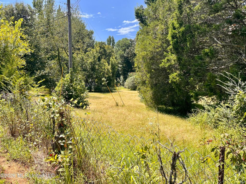 77 Lenzi Road, Byhalia, MS 38611 — photo 4