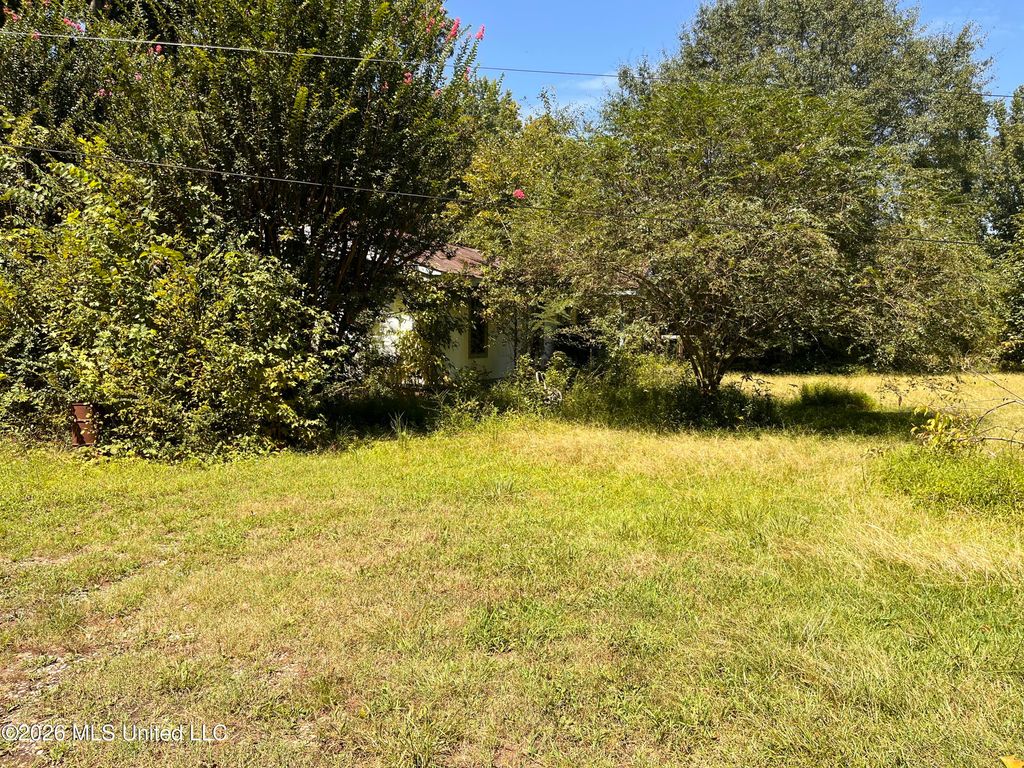 77 Lenzi Road, Byhalia, MS 38611 — photo 5