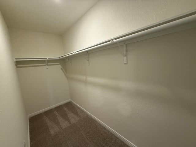 22419 Hawberry Blossom Lane, Tomball, TX 77377