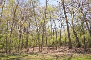 910 Echo (Lot 6) Trail, Marengo, IL 60152