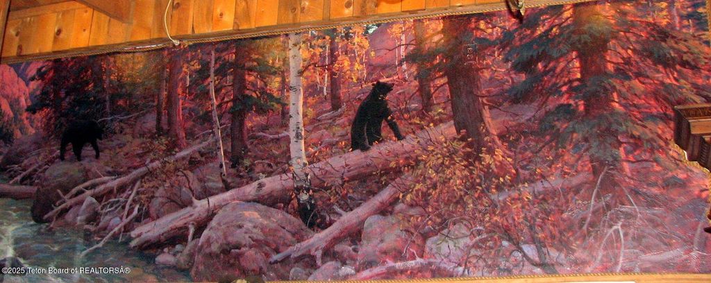 355 S WASHINGTON Street, Afton, WY 83110 photo 71