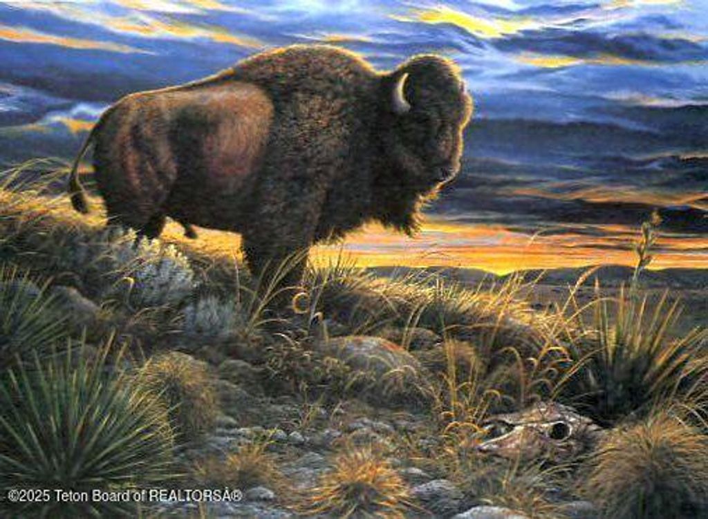 355 S WASHINGTON Street, Afton, WY 83110 photo 72