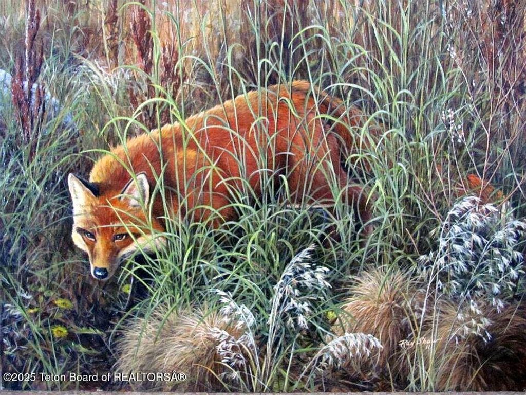 355 S WASHINGTON Street, Afton, WY 83110 photo 73