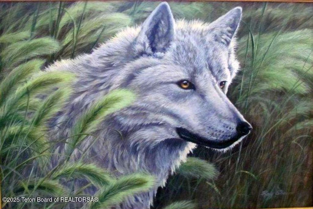 355 S WASHINGTON Street, Afton, WY 83110 photo 74