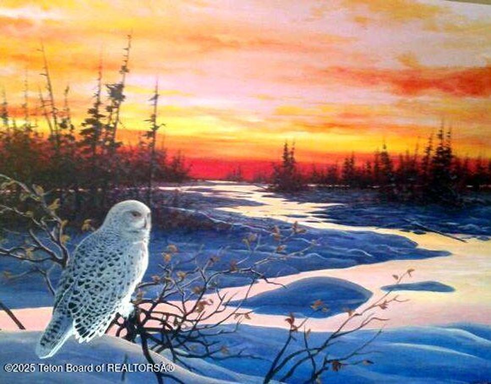 355 S WASHINGTON Street, Afton, WY 83110 photo 75