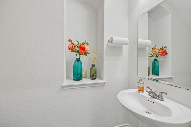 1339 Wild Geranium Drive, Richmond, TX 77406