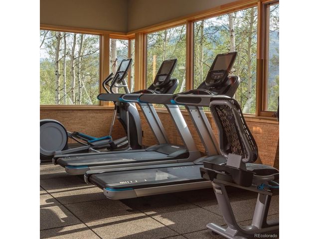 107 Beasley Rd, Silverthorne, CO 80498