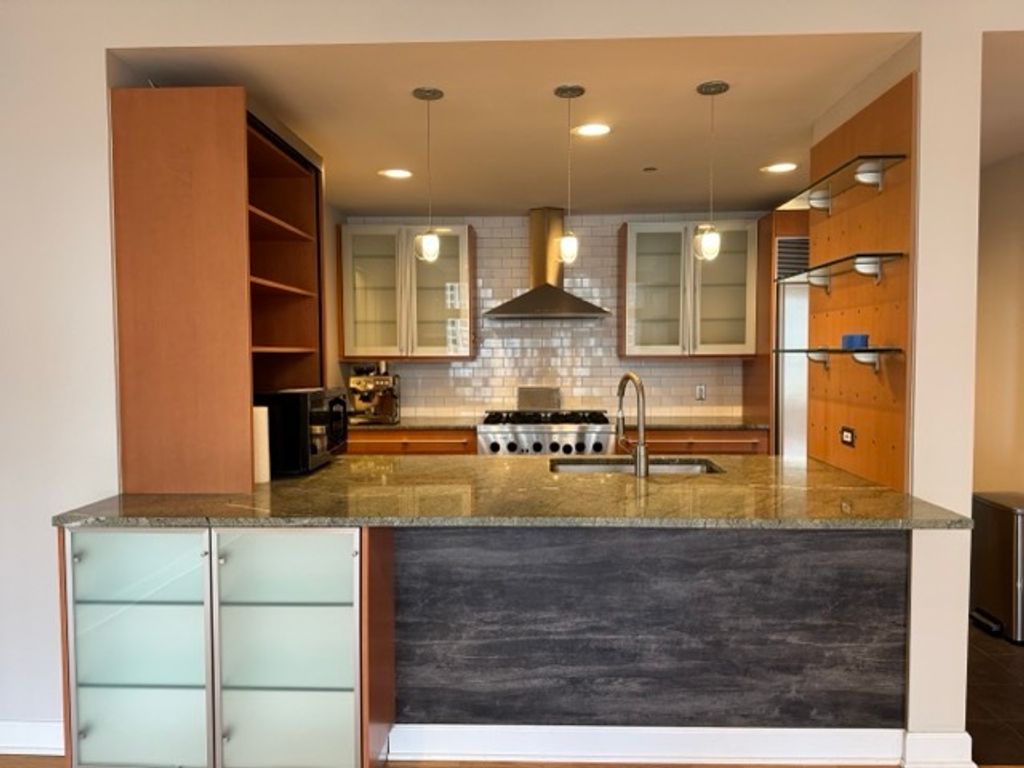 445 E North Water Street 1004, Chicago, IL 60611 — photo 5