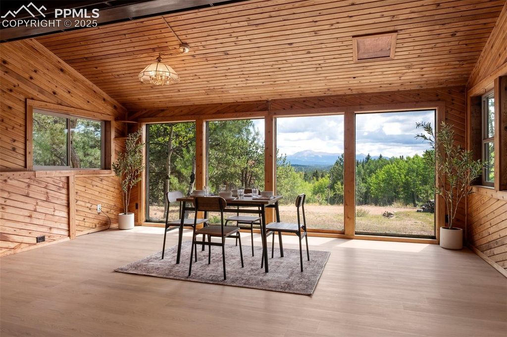 4710 Wildhorn Road, Florissant, CO 80816 — photo 2