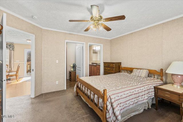 261 Long Hollow Road, Rogersville, TN 37857