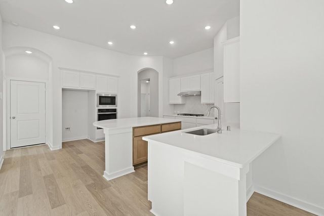 27010 Aurora Garden Lane, Katy, TX 77493