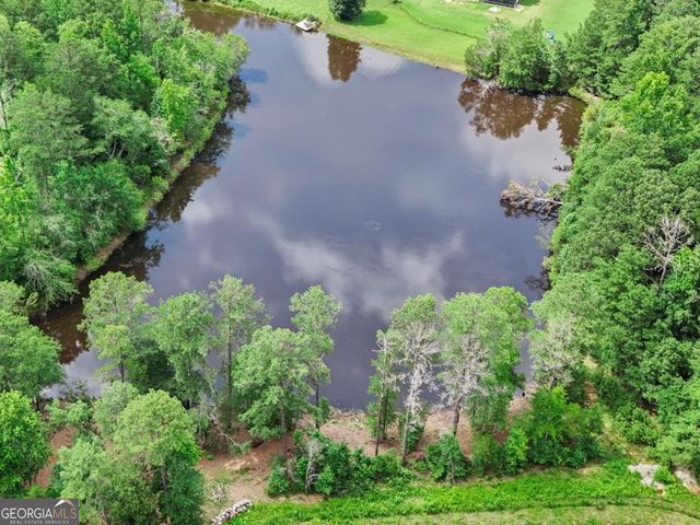 96 Whites Pond Road, Moreland, GA 30259