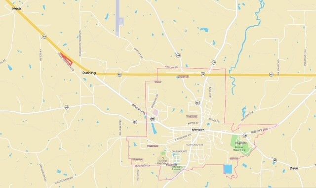 TBD Hwy 98 Ea Street, Tylertown, MS 39667