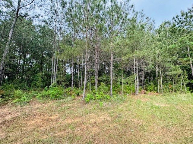 TBD Hwy 98 Ea Street, Tylertown, MS 39667