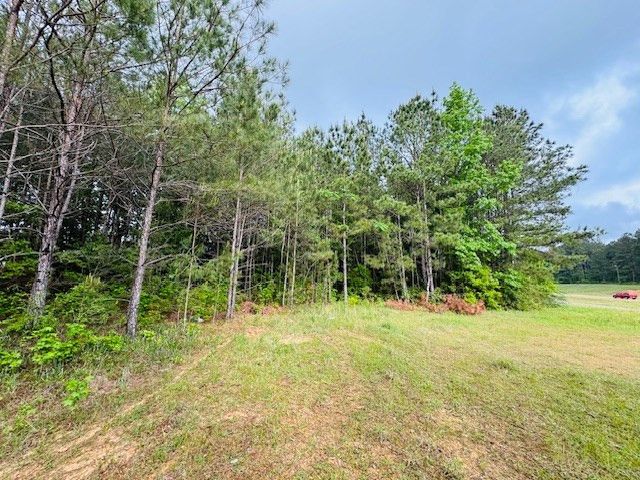 TBD Hwy 98 Ea Street, Tylertown, MS 39667