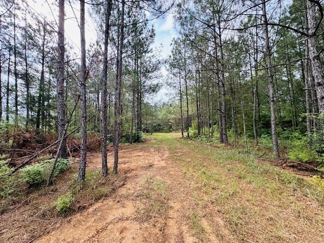TBD Hwy 98 Ea Street, Tylertown, MS 39667