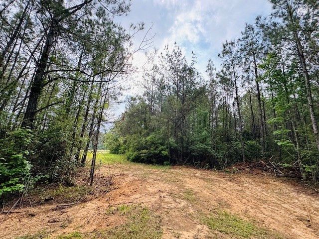 TBD Hwy 98 Ea Street, Tylertown, MS 39667