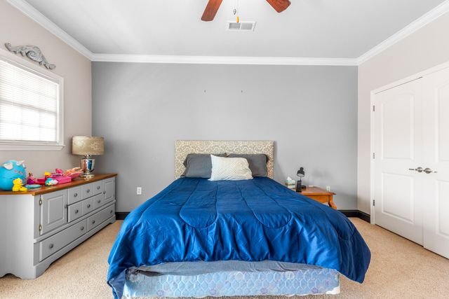 1235 New Lake Road Unit 5, Spring City, TN 37381