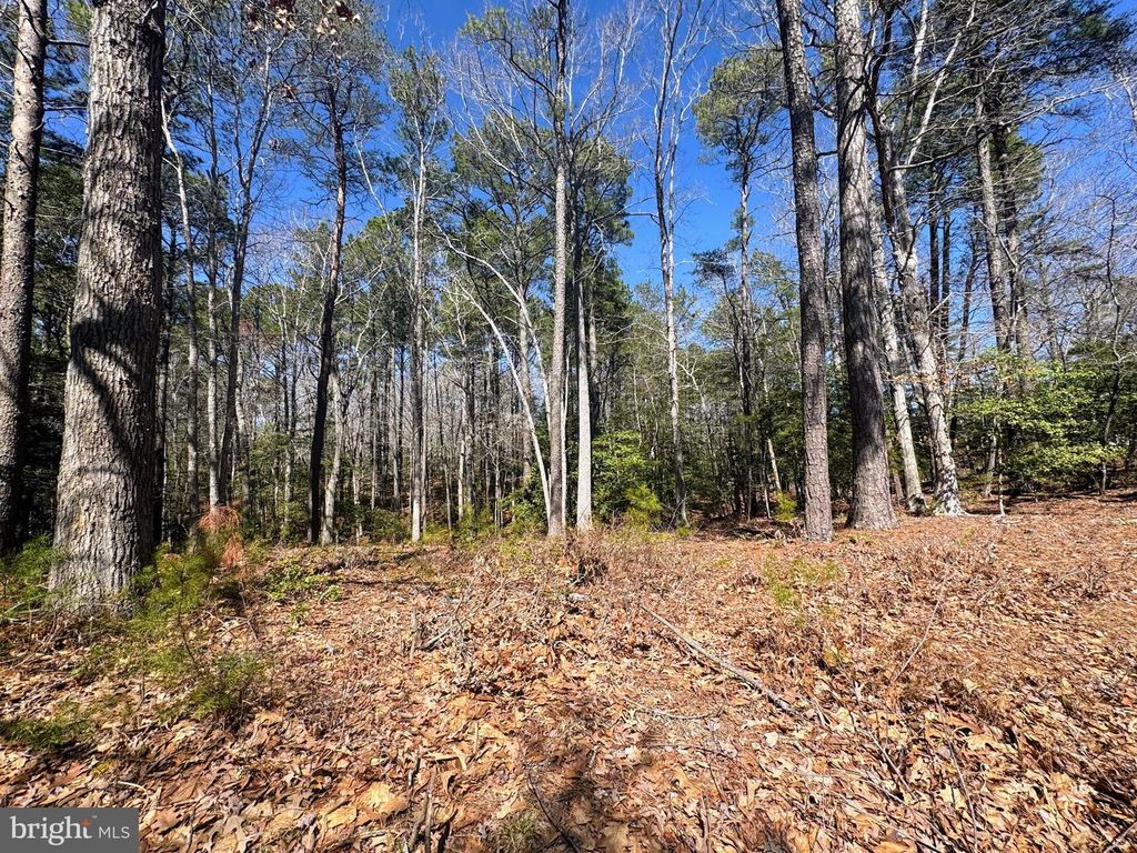 0 MUTINY, Greenbackville, VA 23356