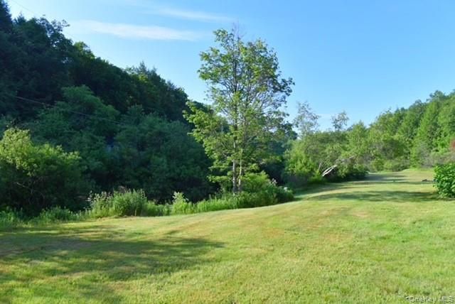 609 Grooville Road, Livingston Manor, NY 12758
