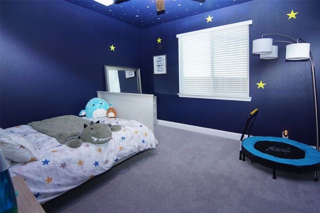 16938 Tussock Avenue, Justin, TX 76247