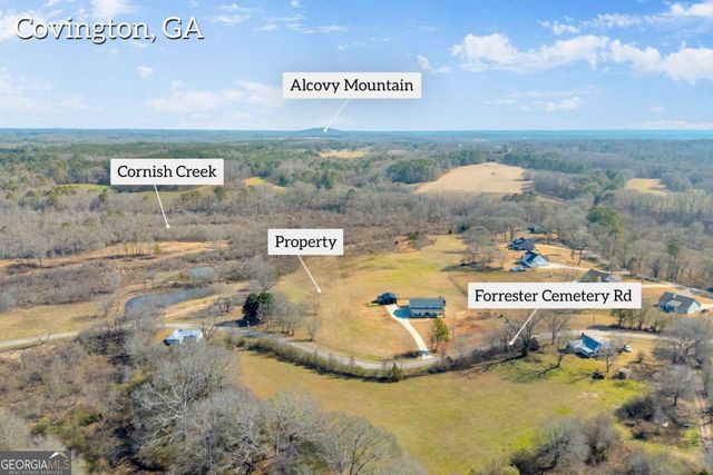 0 Forrester Cemetery Road, Covington, GA 30014