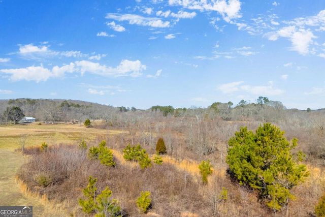 0 Forrester Cemetery Road, Covington, GA 30014