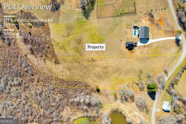 0 Forrester Cemetery Road, Covington, GA 30014