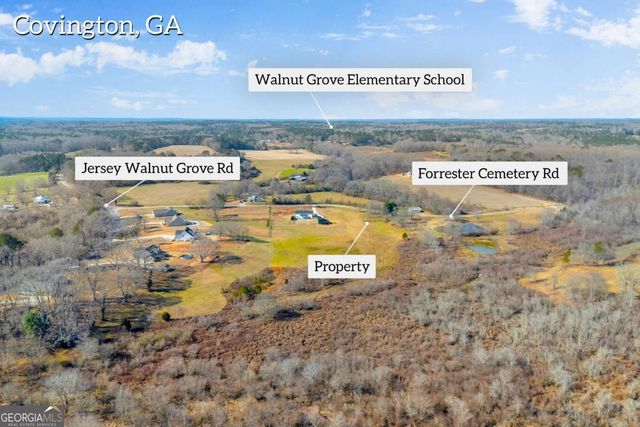 0 Forrester Cemetery Road, Covington, GA 30014