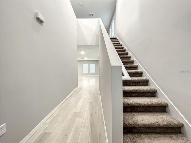 7540-A FREESIA TRACE, Wesley Chapel, FL 33545