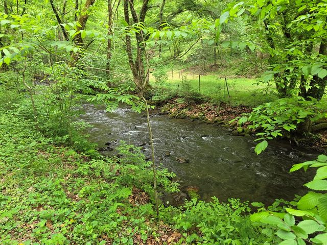 89 Eagle Fork Valley, Hayesville, NC 28904