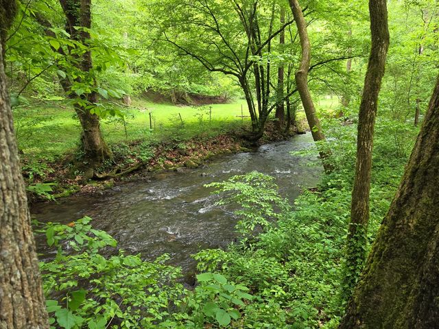 89 Eagle Fork Valley, Hayesville, NC 28904