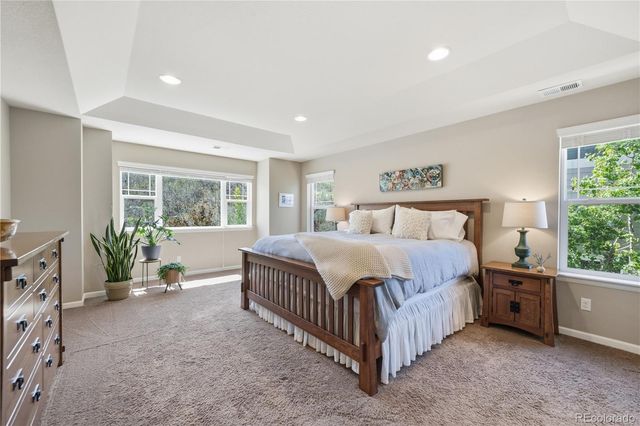3177 Starry Night Loop, Castle Rock, CO 80109