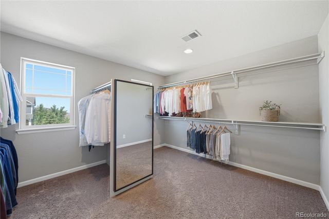 3177 Starry Night Loop, Castle Rock, CO 80109