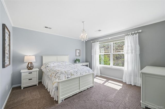 3177 Starry Night Loop, Castle Rock, CO 80109