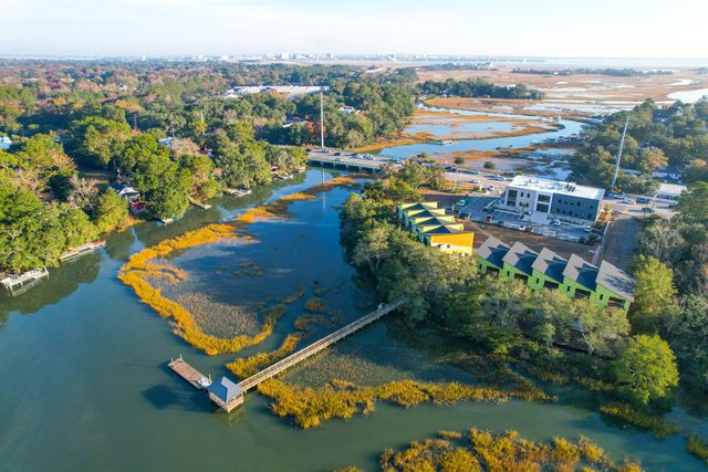 830 Curved Creek Court, Charleston, SC 29412