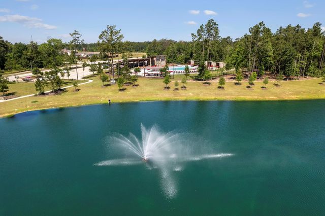 14467 Cardinal Forest Drive, Conroe, TX 77302